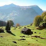 Nora 5 Bett By Interhome Apartmán Grindelwald