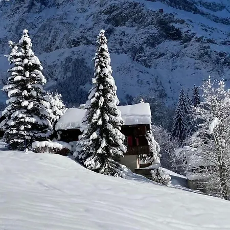 Apartamento Nora 5 Bett By Interhome *