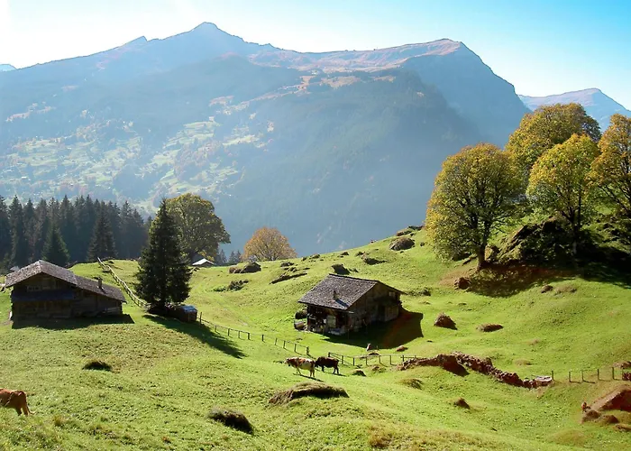 Nora 5 Bett By Interhome Apartamento Grindelwald